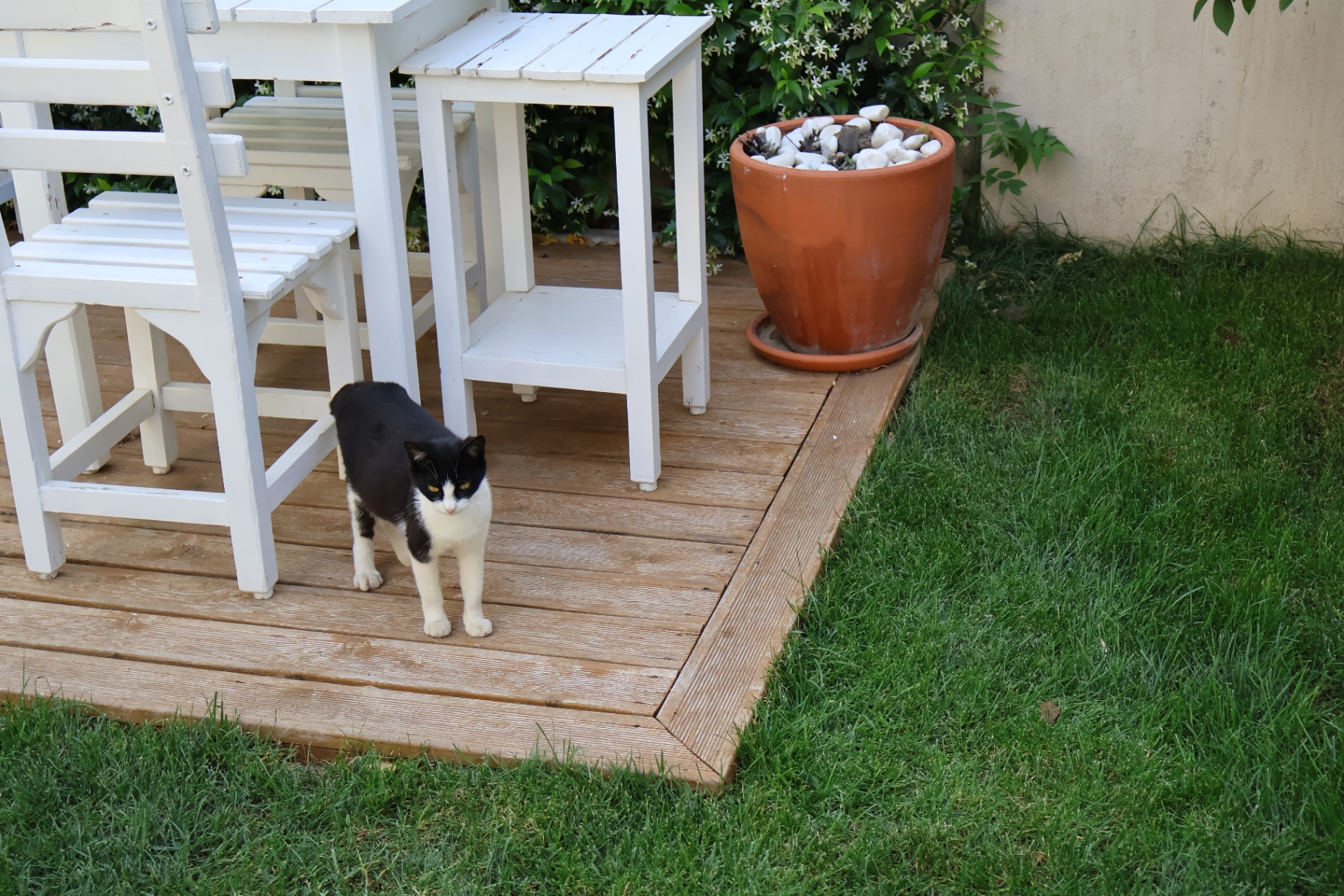 Urla'nın Kalbinden Hikayeler